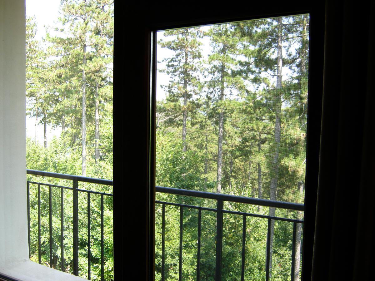Motel Koziyat Rog Malko Tŭrnovo Buitenkant foto
